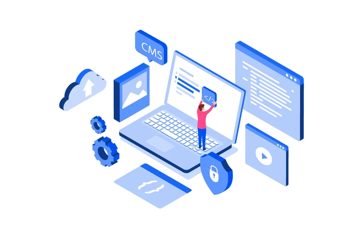 Website development