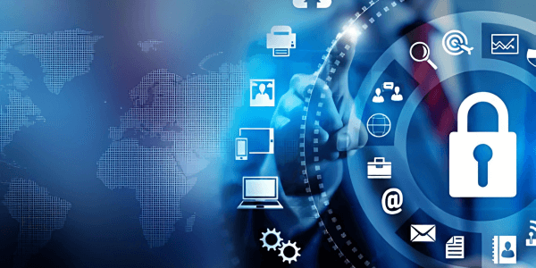 rapid-digital-growth